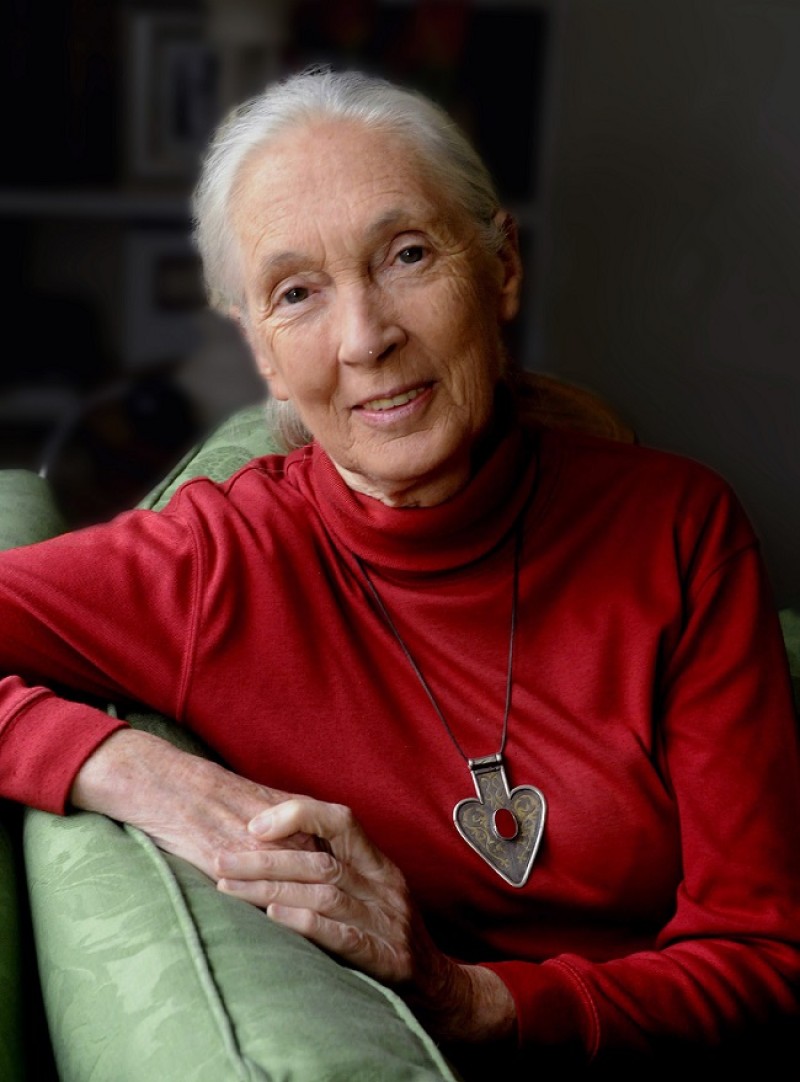 Acclaimed ethologist and conservationist Jane Goodall to reflect on