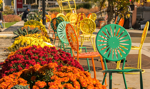 Terrace chairs among fall foliage and flowers