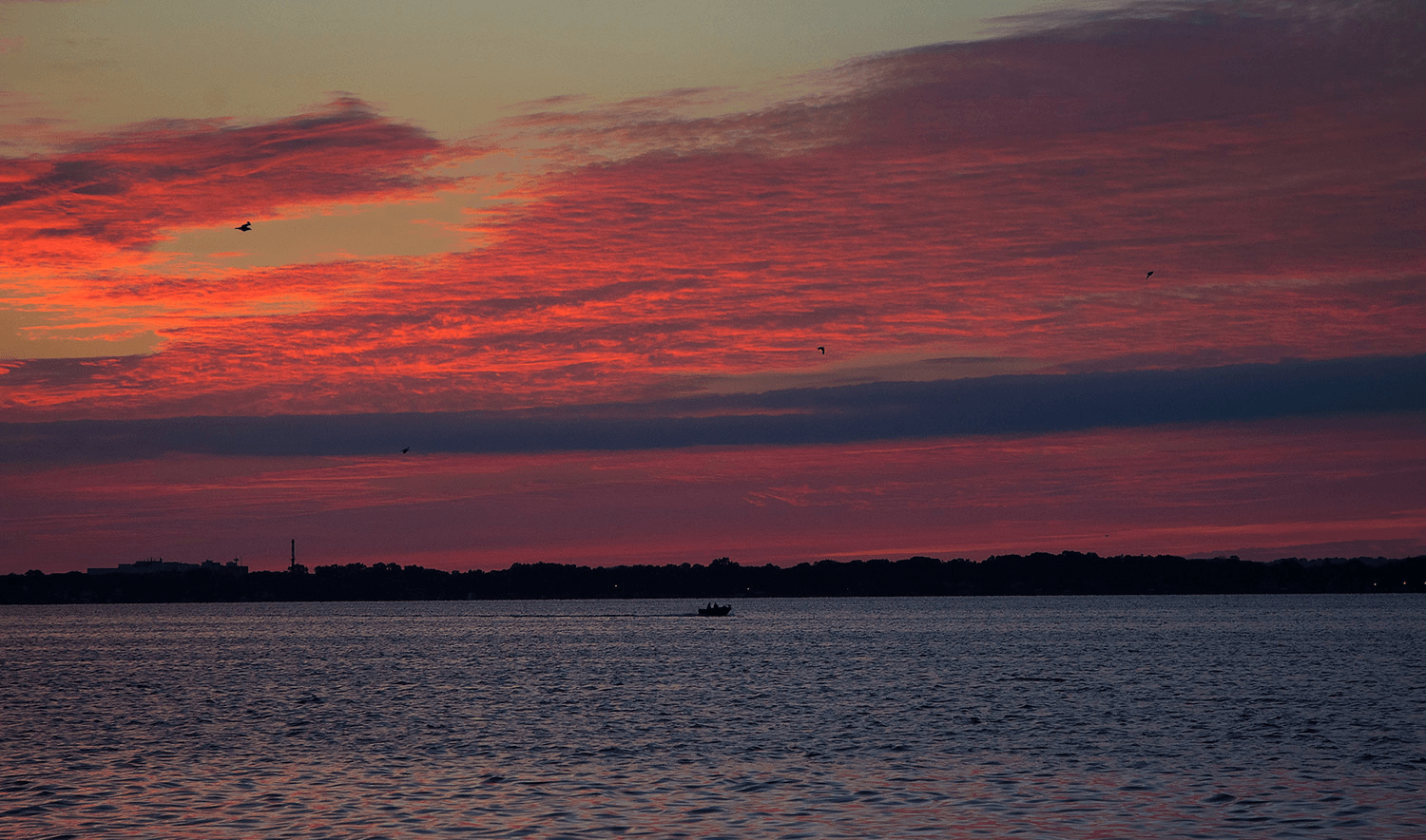 Pink sunset over Lake Mendota
