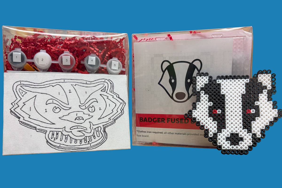 DIY Project Kits featuring Bucky Badger.