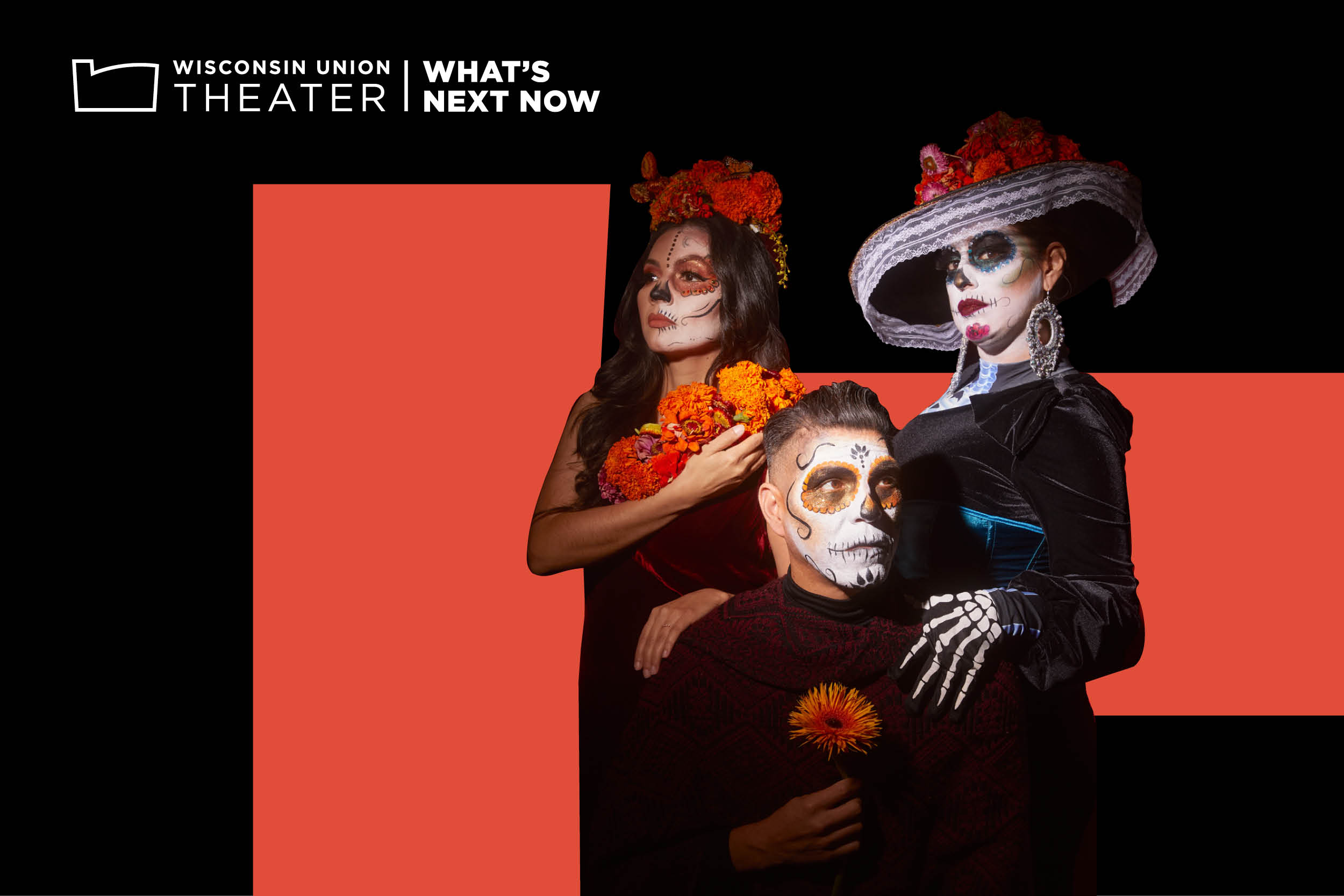 TH DMT IS Las Cafeteras 23 0793 v2