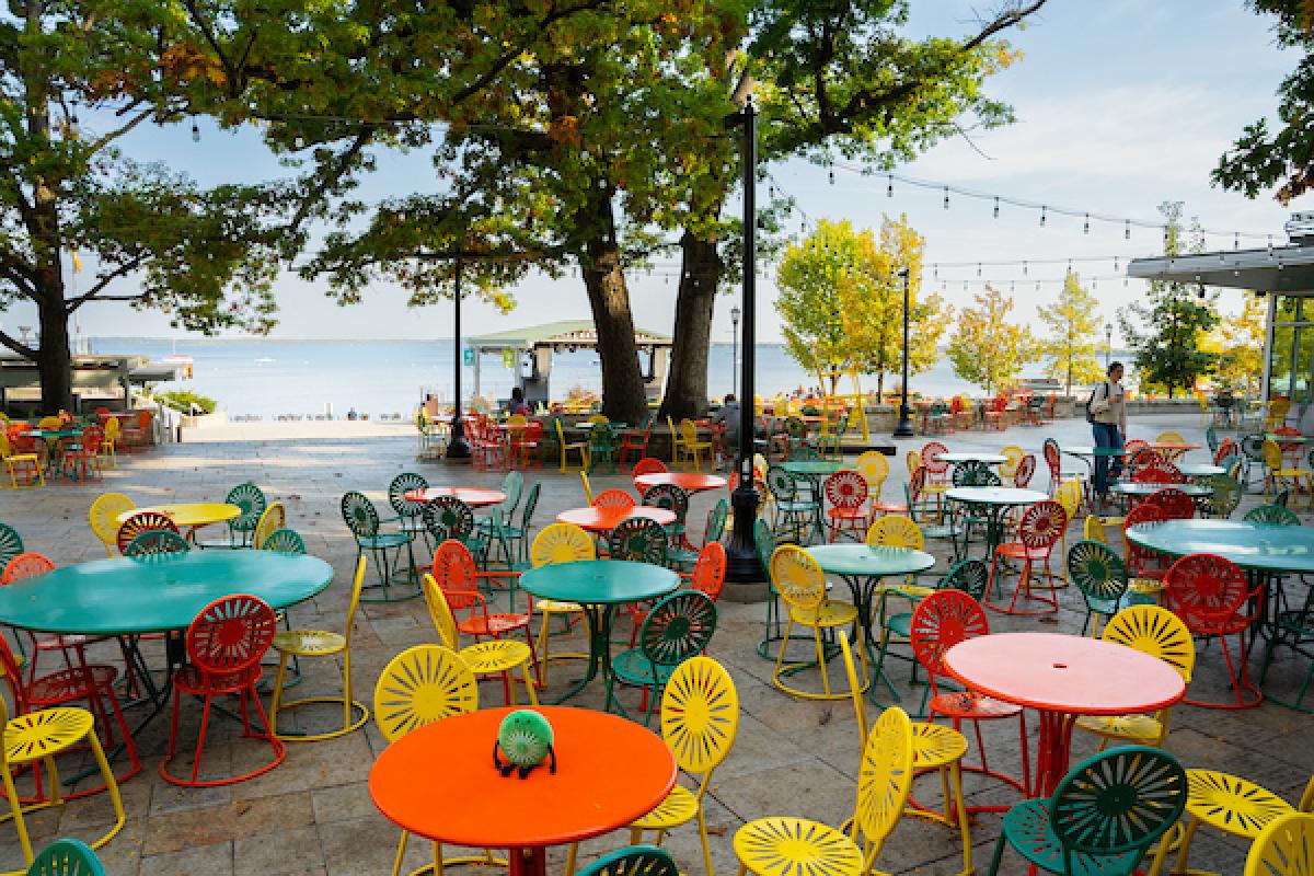 Maple Fields charing plushie sits on a table at the Terrace