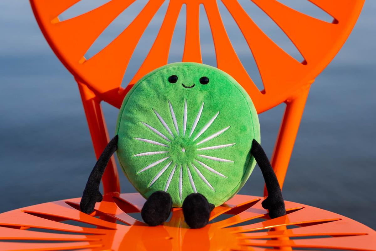 Wisconsin Union Chairlings | Wisconsin Union