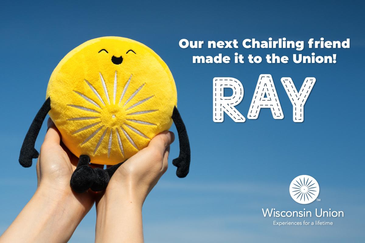 Our next Chairling friend made it to the Union: Ray