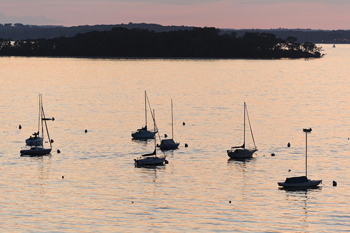 Sailboats on Lake Mendota at sunset