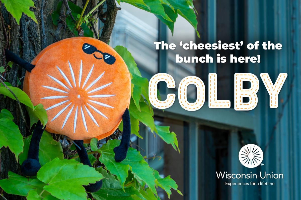 Wisconsin Union Chairlings | Wisconsin Union