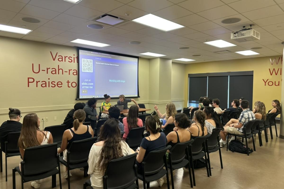 Volunteer Action committee meeting slideshow presentation