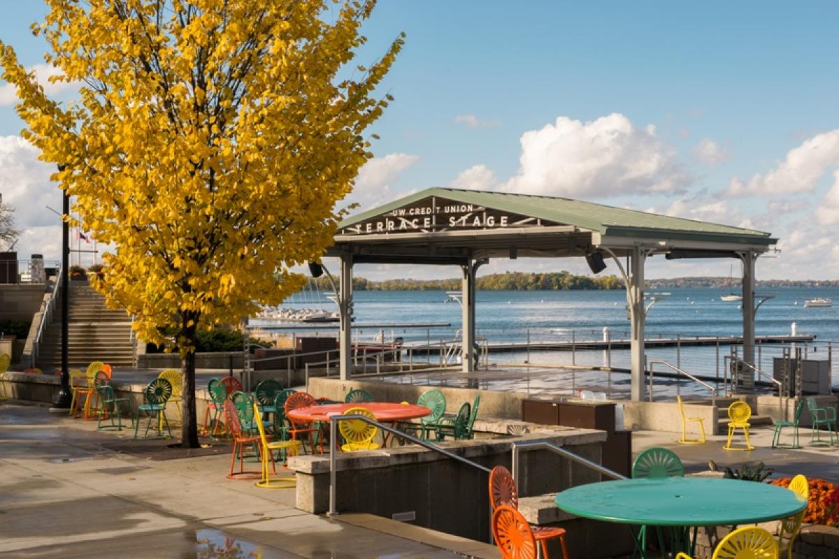 terrace chairs with yellow tree, facing water of Lake Mendota