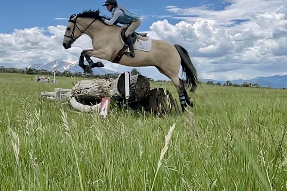 288868888 5313861298681367 1766756474415295673 n