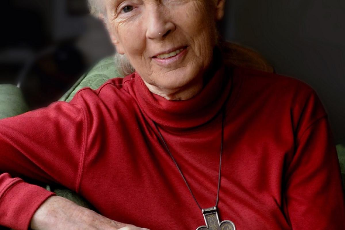 Headshot of Jane High Res