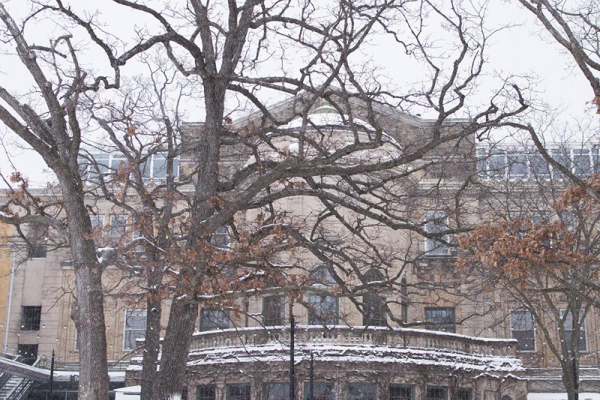 OUW WinterCarnival18 OD 5773 med