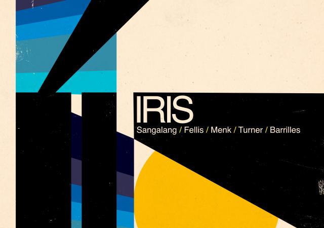 IRIS Logo