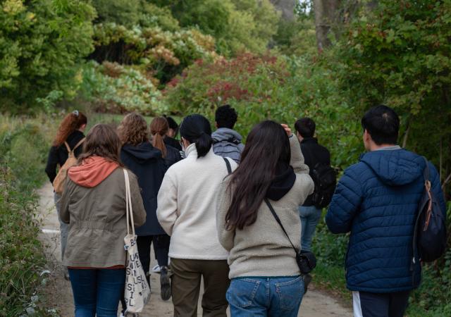 Individuals on a hike