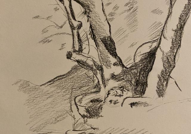 Charcoal drawing of a tree