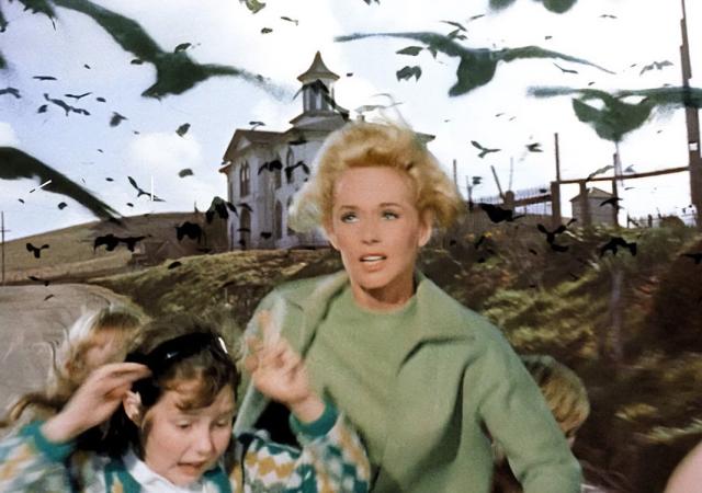 Still from film The Birds, woman and children run away from a swarm of crows.