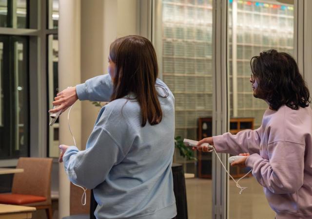 Winter Carnival Video Games