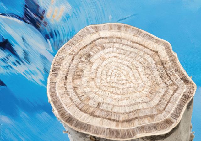 A cut birch log with fine lines carved into it sits in front of a light blue painting. The painting has various shades of blue and white and resembles water rippling, a bird, or the sky, depending on the interpretation of the viewer.