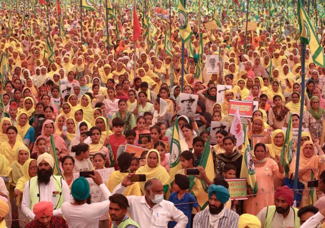 Image from film Farming the Revolution (2024).