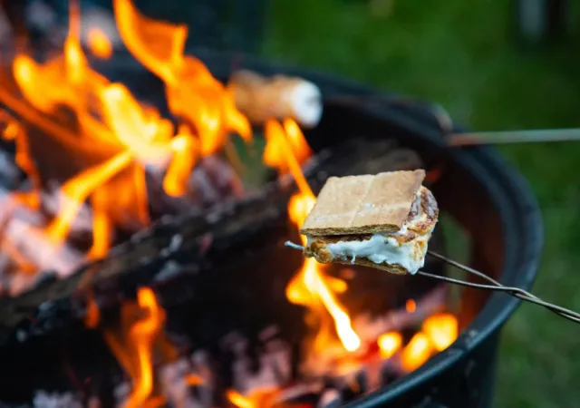 roasting smores over a fire