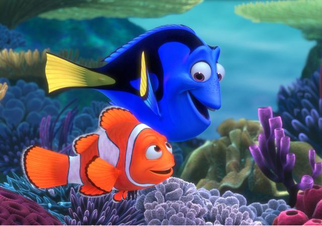 orange clown fish and blue tang fish swimming together