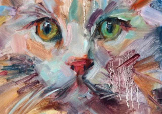 Photo of a painted cat in a multitude of colors.