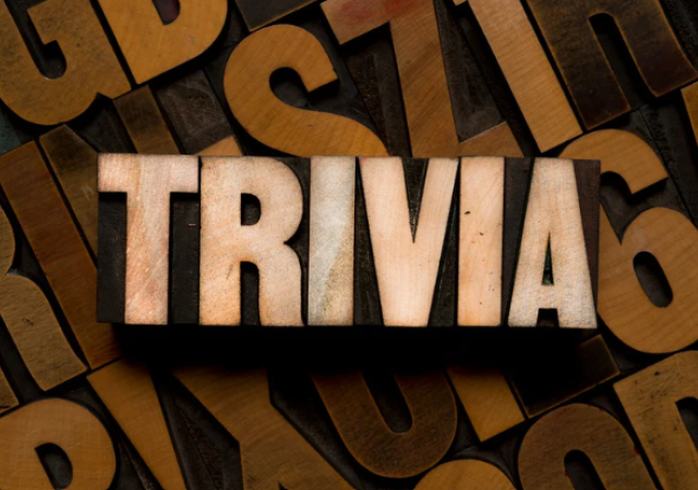 Wood Trivia Logo
