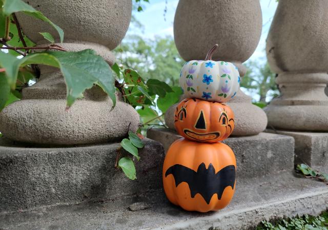 Photo of three painted pumpkins.