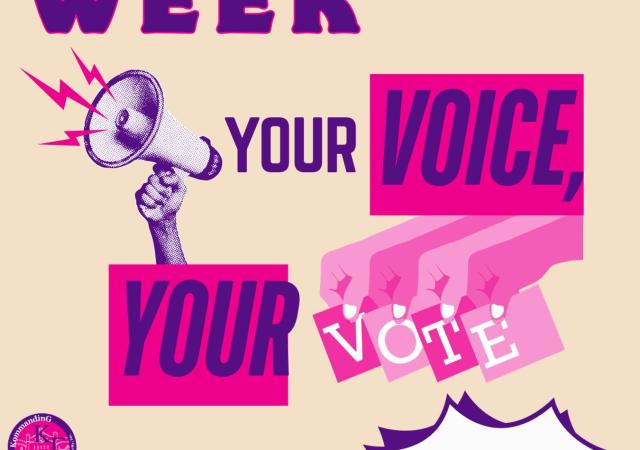 Your Voice Your Vote