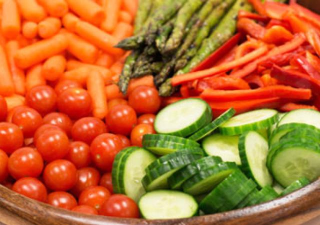 Catering Food ActivityPreview