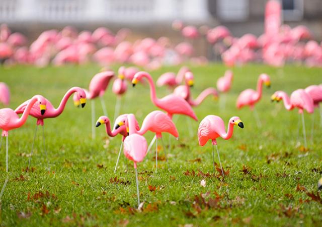 23 FilltheHill Image 2