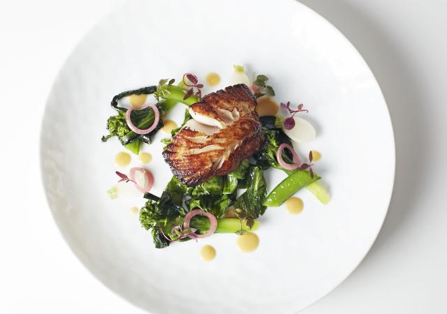 2D274906915359 today plates 14101 tease2