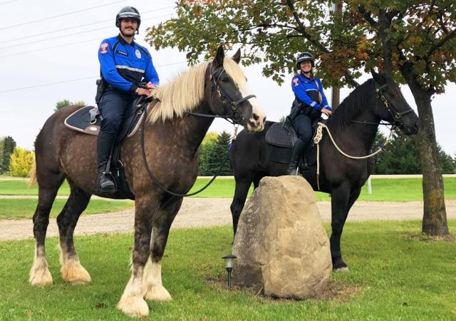 315322363 496711865823554 1028717143110685013 n