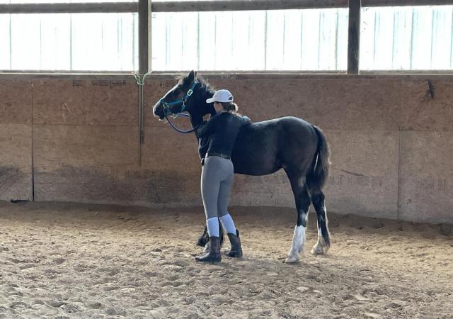 371503398 659726096003108 2177546848439481693 n v2