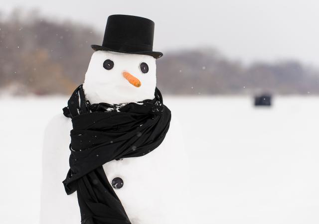 Hoofers W Carnival14 2412 1