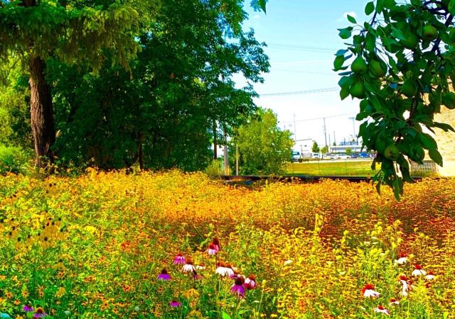 SPRING Promo Pic Large2