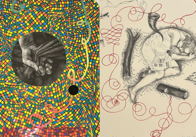 Stakonis Silverstripe