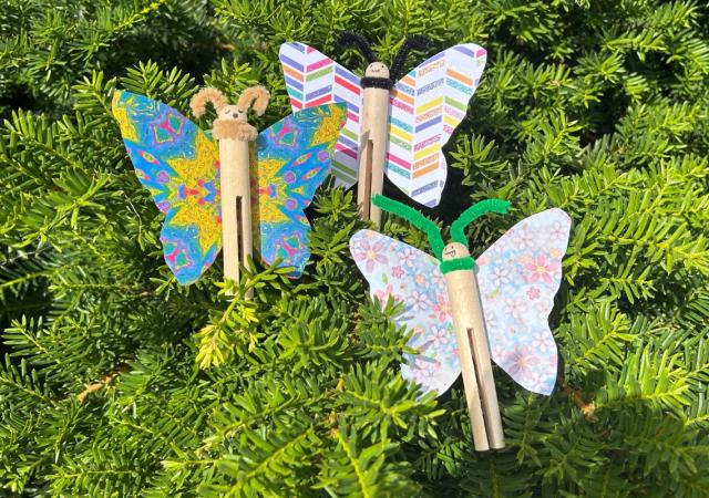 TAZ Butterfly Clips Main Image