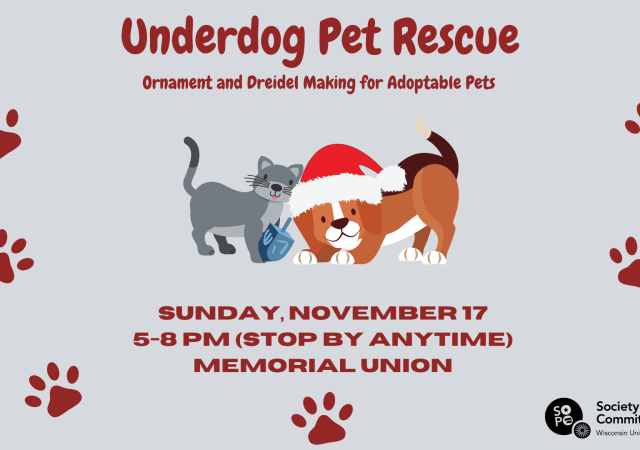 Underdog Pets 1920 x 1080 px new