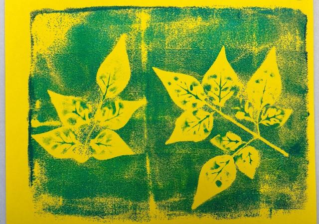 WHS FAF botanical printmaking
