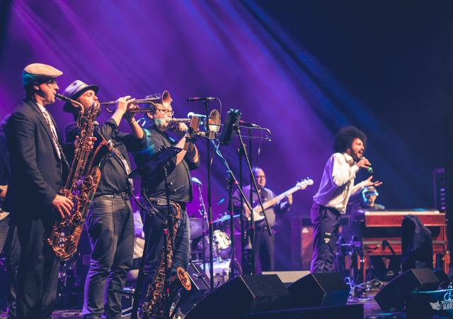 dont mess with cupid