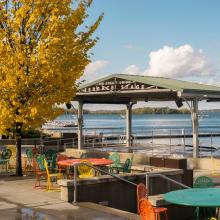 terrace chairs with yellow tree, facing water of Lake Mendota