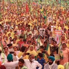 Image from film Farming the Revolution (2024).