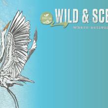 Wild and Scenic Film Festival