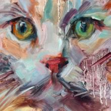 Photo of a painted cat in a multitude of colors. 