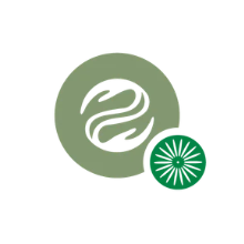 Graphic of the WUD Wellness logo