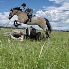 288868888 5313861298681367 1766756474415295673 n