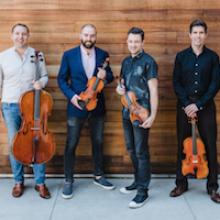 Escher String Quartet photo by Anna Kariel 