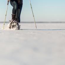OUW Snowshoeing AM 116 1