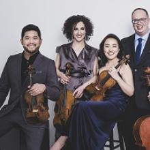 Verona Quartet Photo by Dario Acosta