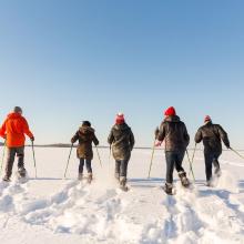 Winter Snowshoe Featured Content Image